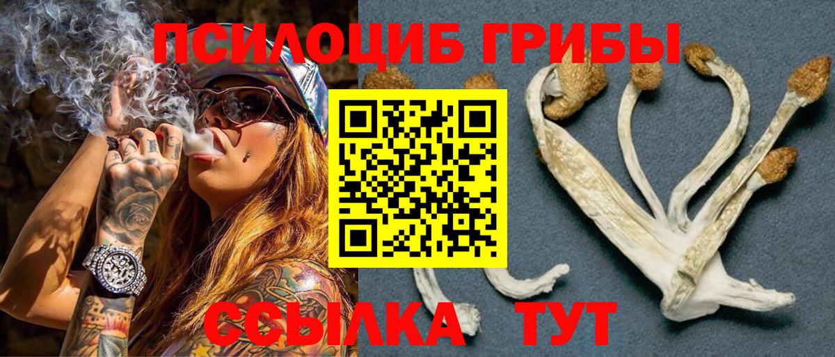 Галлюциногенные грибы Cubensis Шали